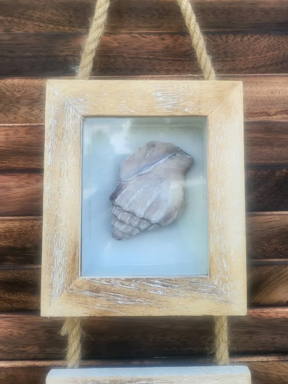 Beach nautical themed 3-piece shadow-box wall hanging
